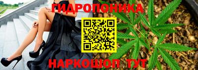 гидропоника Краснодар