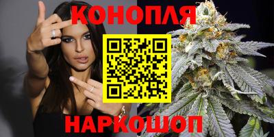 гидропоника Краснодар