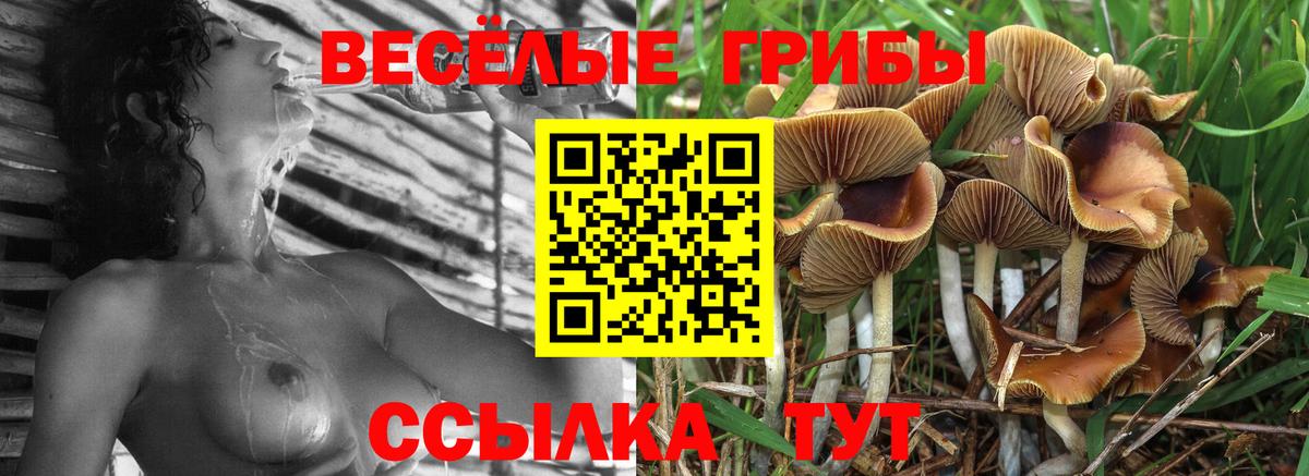 Галлюциногенные грибы ЛСД  Вход с VPN  Грязи  Псилоцибиновые грибы мицелий 